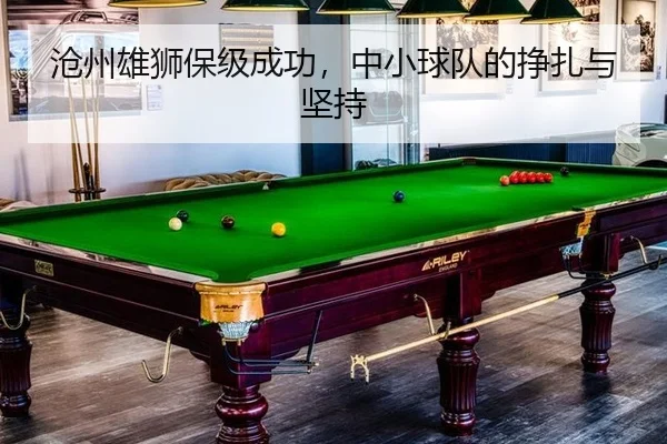 沧州雄狮保级成功，中小球队的挣扎与坚持